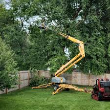 Best Firewood Processing and Delivery  in Soledad, CA
