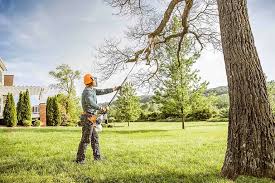Best Leaf Removal  in Soledad, CA
