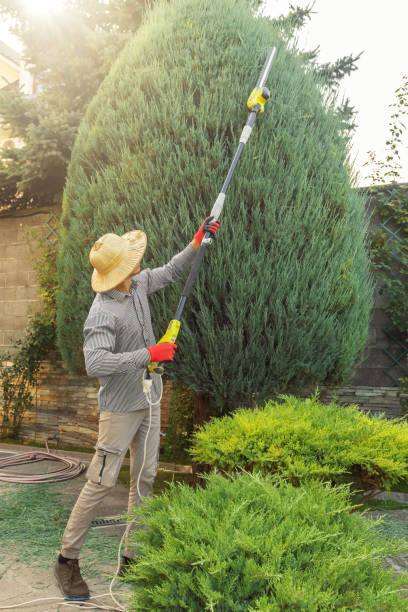 Best Lawn Drainage Solutions  in Soledad, CA